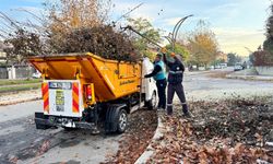Serdivan’da sonbahar temizliği
