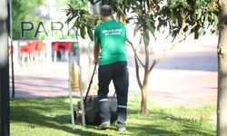 Erenler Belediyesi park ve bahçelerde çalışmalarını sürdürüyor