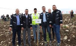 SEDAŞ, geleceğe nefes olmak için 500 fidan dikti