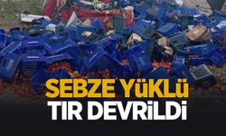 D-650'de sebze yüklü tır devrildi