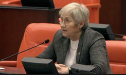 CHP'li Taşkent'ten Akgöl Çağrısı