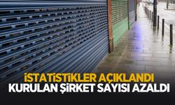 Kurulan şirket sayısı azaldı
