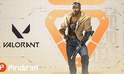 En Uygun Fiyatlı VP Satın Almanın Yolu Nedir?