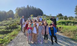 Bir fidanda bizden olsun dediler