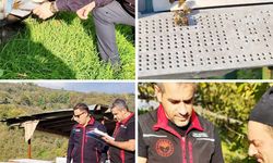 Akyazı’da arı kovanı desteği