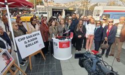 CHP'li Çeroğlu: "Çocukların geleceği değil, çocuk emeği büyüyor"