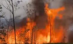 Sapanca Gölü'ndeki sazlık alanda yangın çıktı