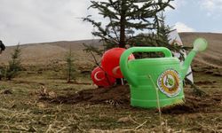 11 Kasım Milli Ağaçlandırma Günü’nde Sakarya'da fidanlar toprakla buluşacak