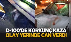 D-100 feci kaza; Olay yerinde can verdi