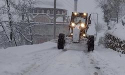 Hendek'te karla mücadele