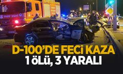 D-100'de feci kaza: 1 ölü, 2 yaralı