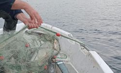 Sapanca Gölü'nde 500 metrelik kaçak ağa el konuldu, 300 kilo balık geri salındı