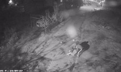 Gasp dehşeti kamerada: 8 milyon lirasını aldılar