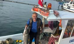 Akçakoca'da balıkçı ağına 10 kiloluk levrek takıldı