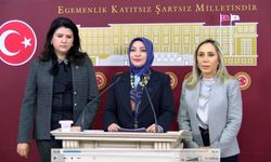 KEFEK Başkanı Erdoğan: "TBMM'deki taciz iddialarının sonuna kadar takipçisi olacağız"