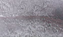 Kartepe'de kar manzarası