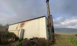 Tavuk çiftliğinde yangın