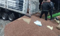 Yılbaşına günler kala fındık fiyatları yükselişe geçti