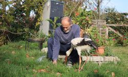 Annesinin yuvadan attığı leyleğe, mahalleli anne ve baba oldu