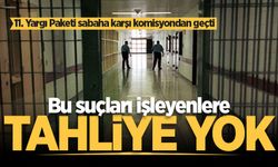 11. Yargı Paketi komisyondan geçti! Bu suçları işleyenlere tahliye yok