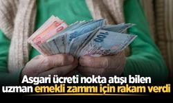Asgari ücreti nokta atışı bilen uzman emekli zammı için rakam verdi