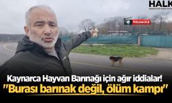 Kaynarca Hayvan Barınağı için ağır iddialar! "Burası barınak değil, ölüm kampı"