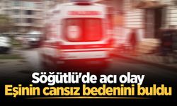 Söğütlü'de acı olay: Eşinin cansız bedenini buldu