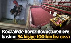 Kocaali'de horoz dövüştürenlere baskın: 34 kişiye 100 bin lira ceza