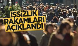 Kasım ayı işsizlik rakamları açıklandı