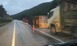 Odun yüklü tır devrildi