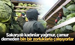 Sakaryalı kadınlar yağmur, çamur demeden bin bir zorluklarla çalışıyorlar