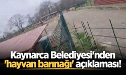 Kaynarca Belediyesi'nden 'hayvan barınağı' açıklaması!