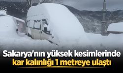 Sakarya'nın yüksek kesimlerinde kar kalınlığı 1 metreye ulaştı
