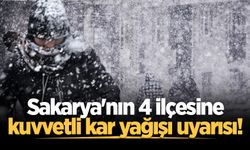 Sakarya'nın 4 ilçesine kuvvetli kar yağışı uyarısı!