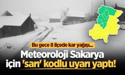 Meteoroloji Sakarya için 'sarı' kodlu uyarı yaptı! 8 ilçede kar yağışı...