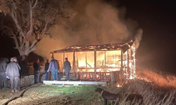 Benzinle mangal yakma girişimi bağ evini küle çevirdi