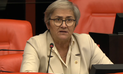 Taşkent: Sapanca Gölü göz göre göre çekiliyor, acil önlem şart