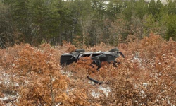 Başka araçlar çarpışan otomobil karşı şeride geçti: 4 yaralı