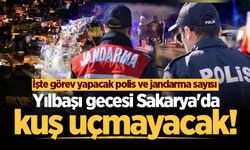 Sakarya'da yılbaşı gecesi güvenlik tedbirleri üst seviyede!