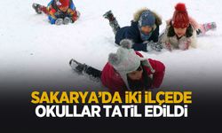 Sakarya'da iki ilçede okullara tatil kararı