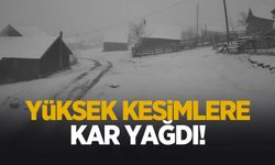 Sakarya'nın zirvelerinde kar manzarası