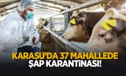 37 mahalleye şap kısıtlaması