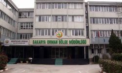 Sakarya Orman Bölge Müdürlüğü, Hendek’teki dört taşınmazı satışa çıkarıyor
