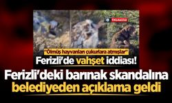 Ferizli'deki barınak skandalına belediyeden açıklama geldi