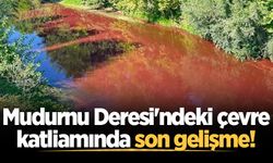 Mudurnu Deresi'ndeki çevre katliamında son gelişme!