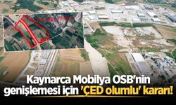 Kaynarca Mobilya OSB'nin genişlemesi için 'ÇED olumlu' kararı!