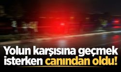 Yolun karşısına geçmek isterken canından oldu!