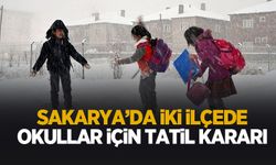 Sakarya'da 2 ilçede okullar için kar tatili