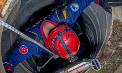 Kocaali'de 11 metre derinliğindeki rögara düşen köpekler kurtarıldı