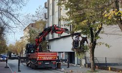 Hendek Belediyesi dal budama ve temizlik çalışmalarını sürdürüyor